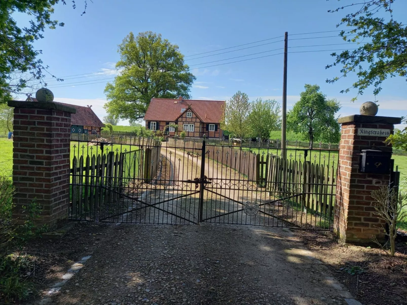 Haus Elbrose inmitten von Rosen mit Elbdeichzugang-Binnen