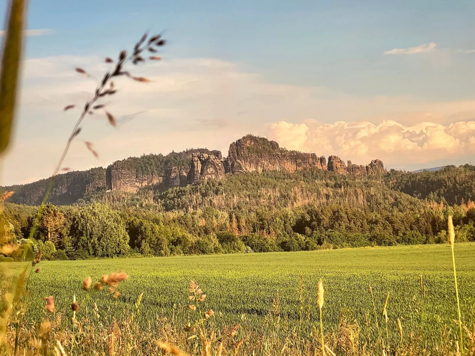 Apartment Wuff-Buiten