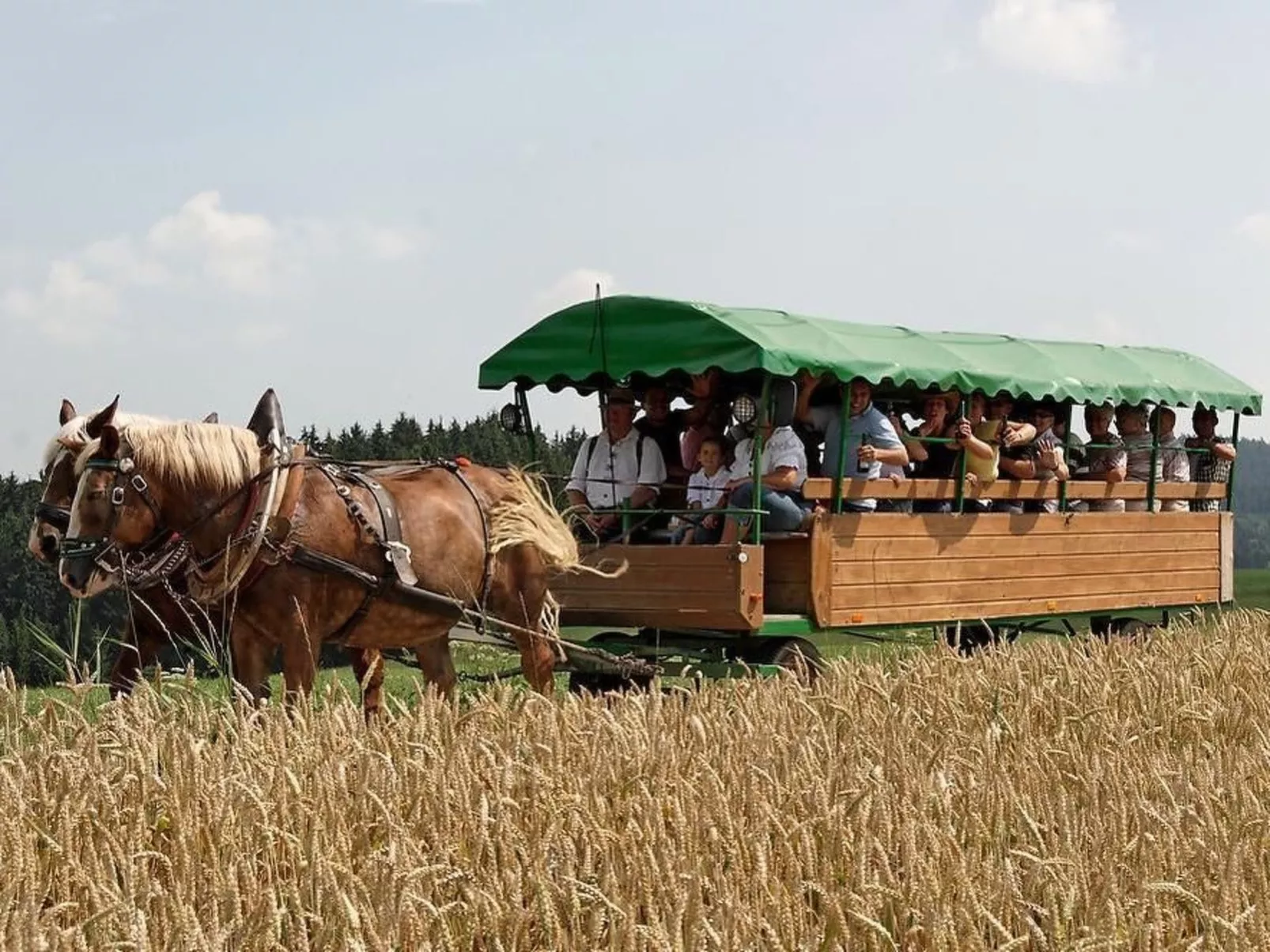 In Röhrnbach mit Grill und Terrasse-Image-tags.info