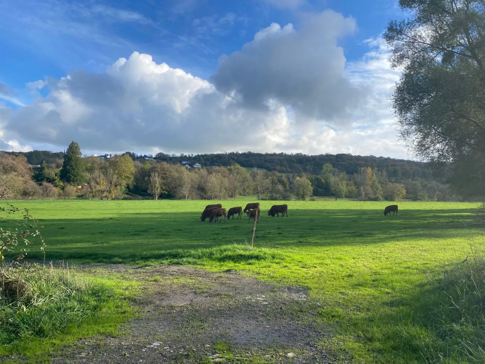 Appartement mit Balkon-Buiten