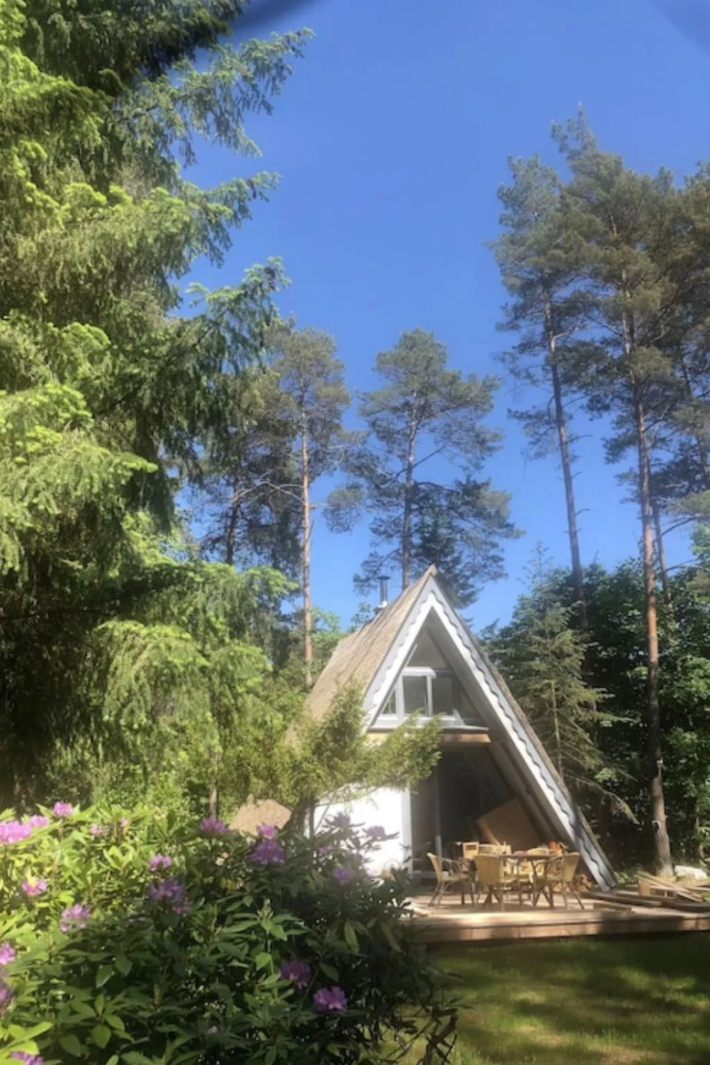 Reetdach Ferienhaus am Lübbesee Sauna Bootsteg neu-Binnen