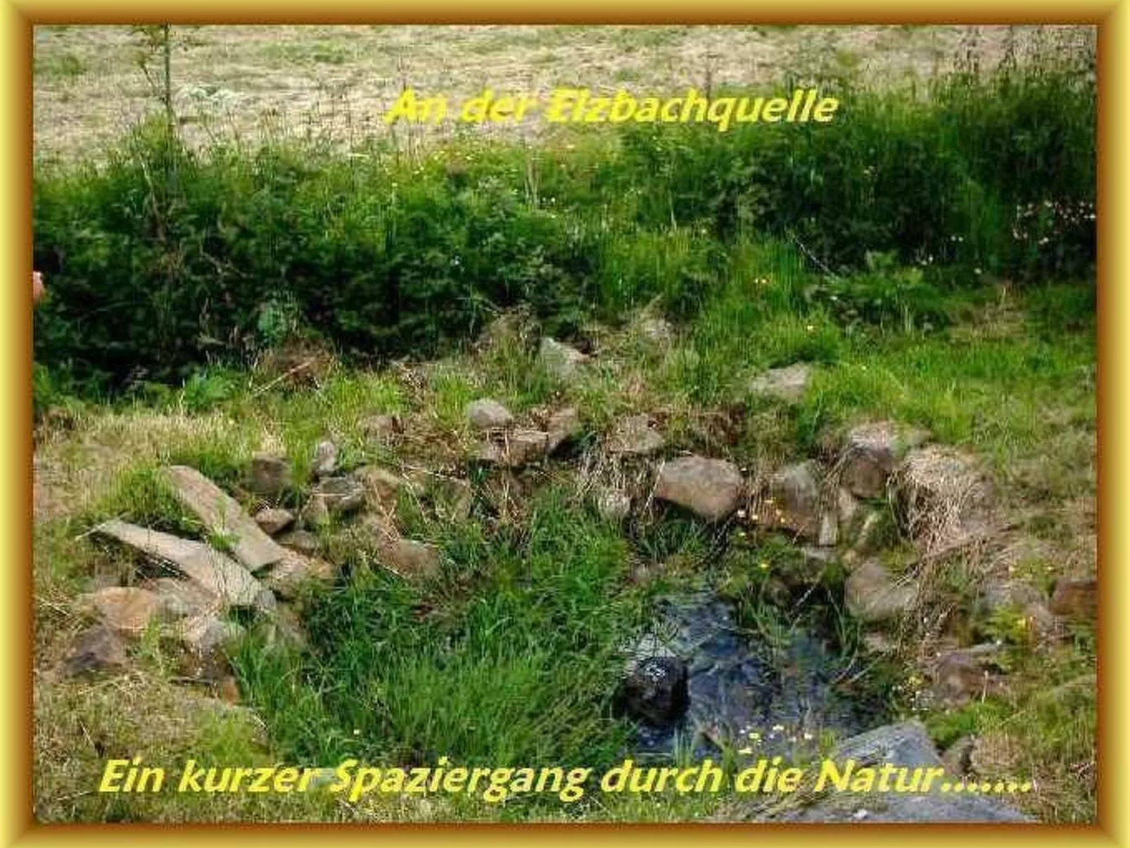 Ruhiges Landhaus mit zwei gemütlichen Wohnungen - Buiten