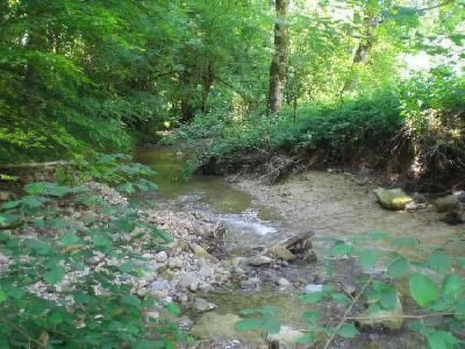 Das Blaue Haus in Hohenweiler-Binnen