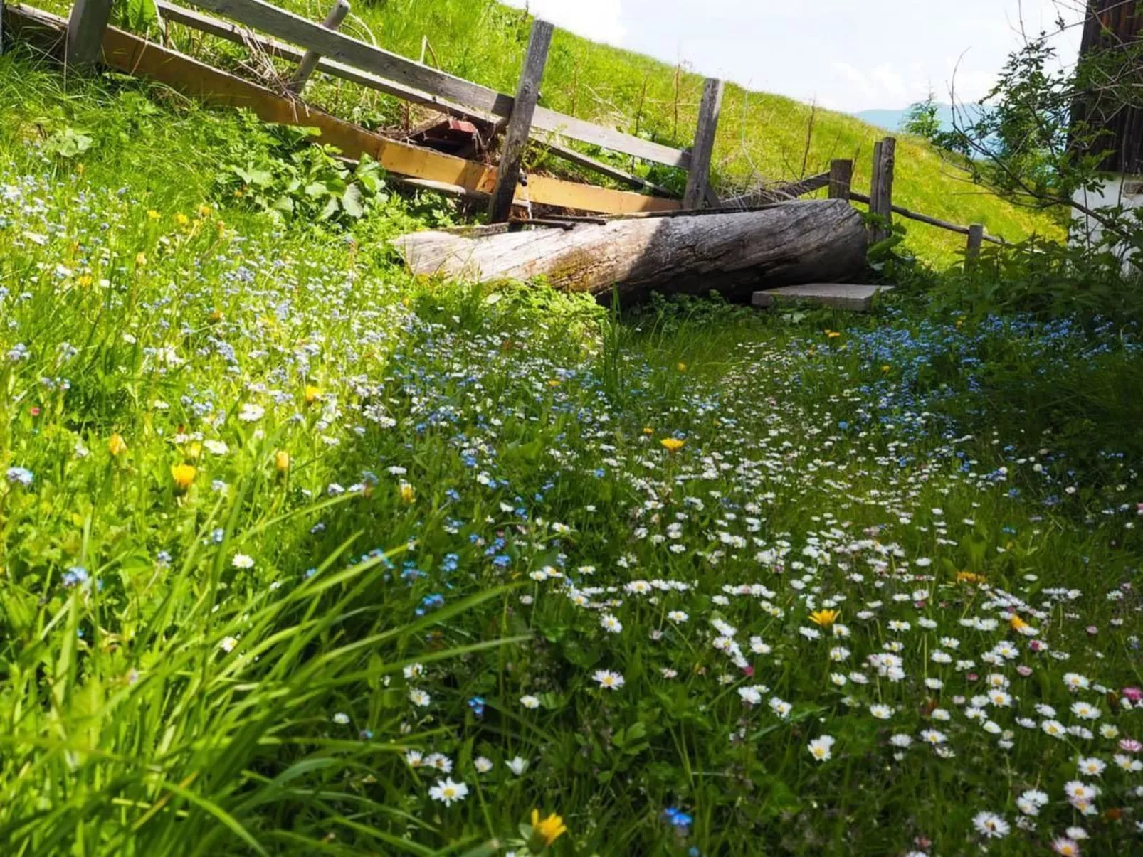 Almhütte Enzian-Buiten