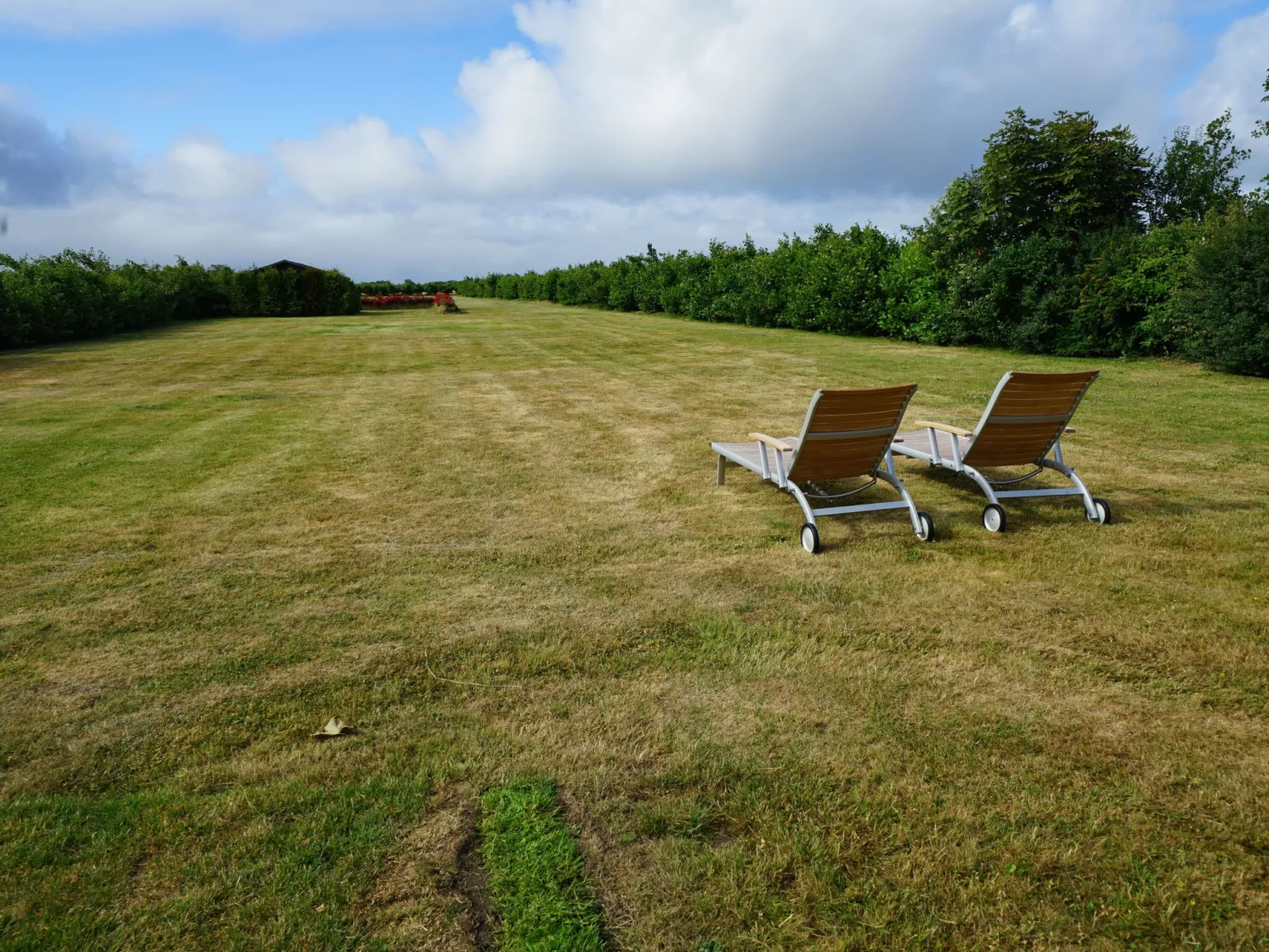 In Großmorsum mit Terrasse und Grill-Buiten