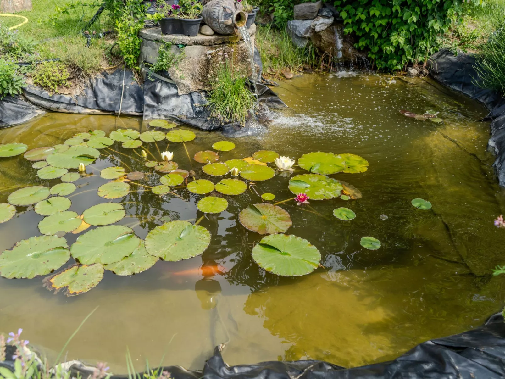 Casa Ananda Ferienhaus-Binnen