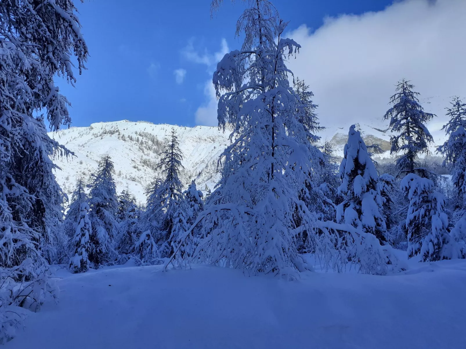 Urlaub in den Bergen-Buiten