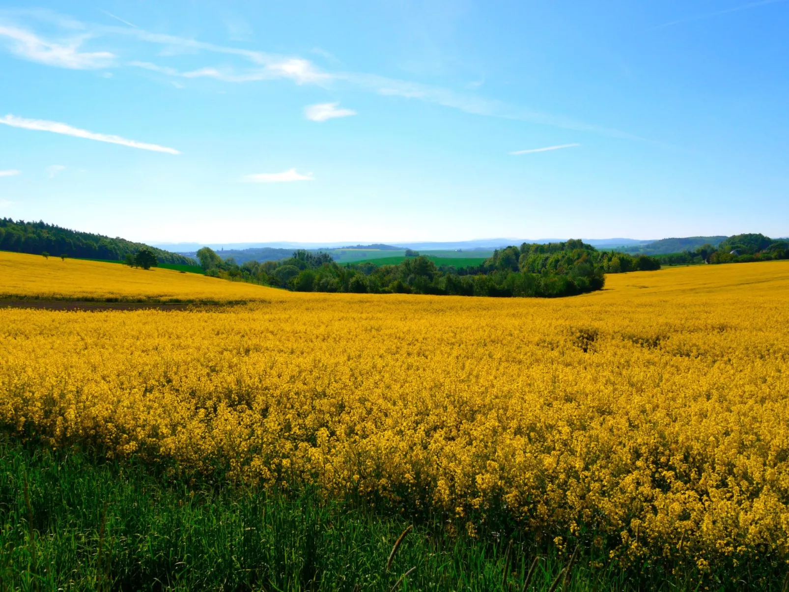 In Maxen mit Privatem Pool-Buiten