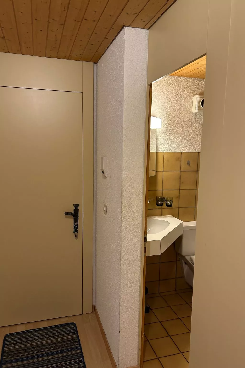 Wohnung Hirschi-Binnen