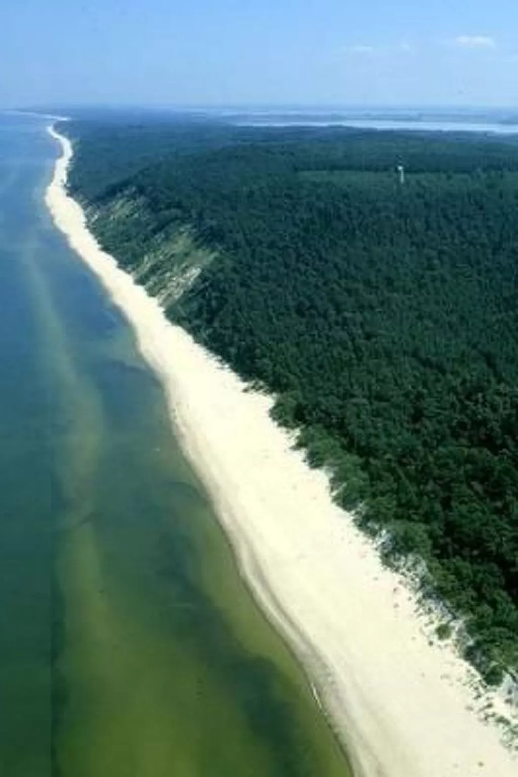 Apartamenty Kornel-Buiten