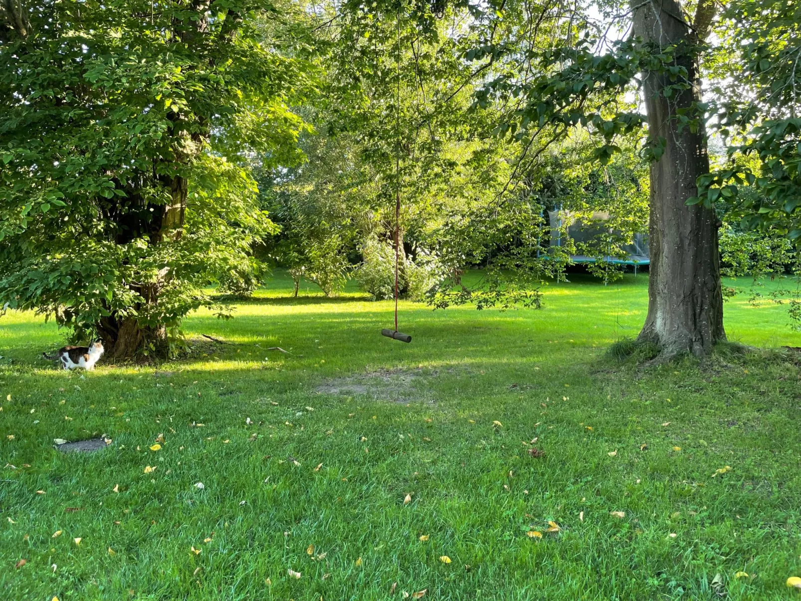 Waschhaus-Image-tags.info