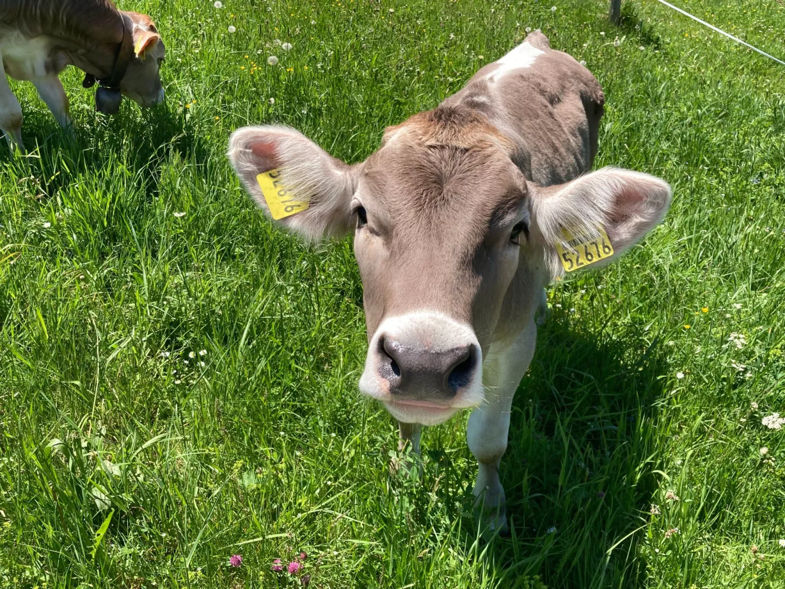Fewo Bergblick lodge-Buiten