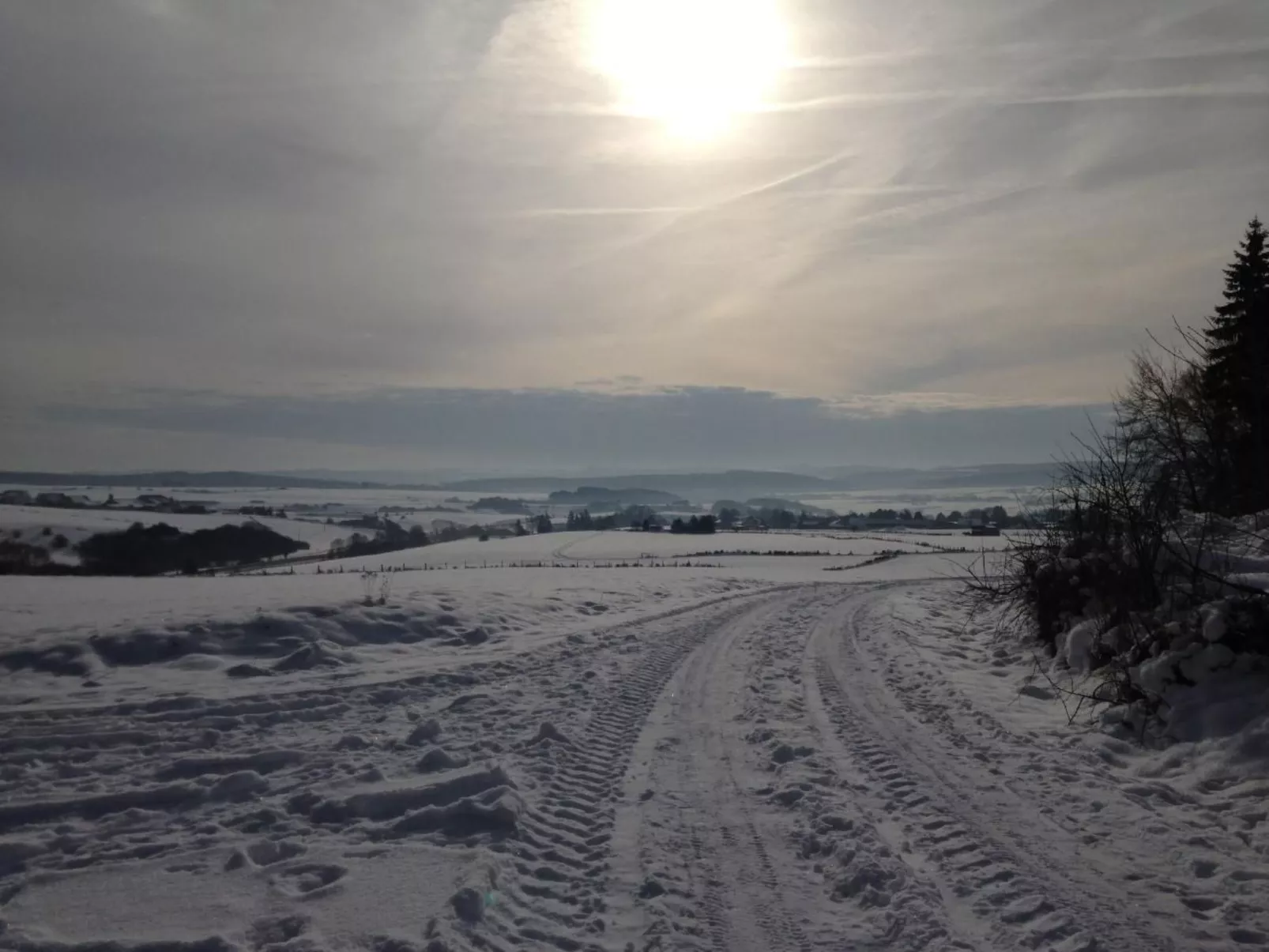 Eifelhäuschen Wald-Buiten