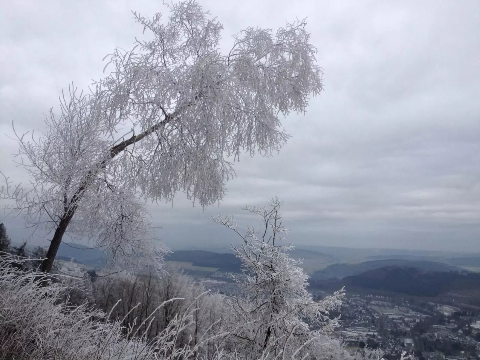 Haus Schnurbus - Image-tags.info