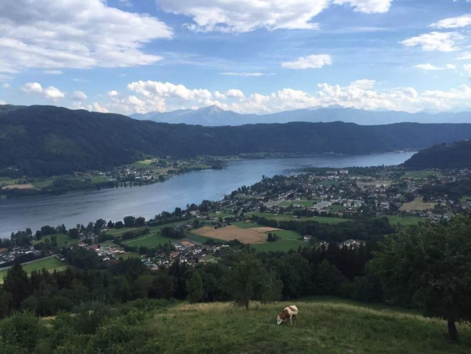 In Steindorf Am Ossiacher See-Buiten