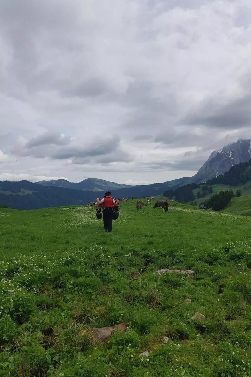 Ferien im Gugger - Wohnung Churfirsten-Image-tags.info