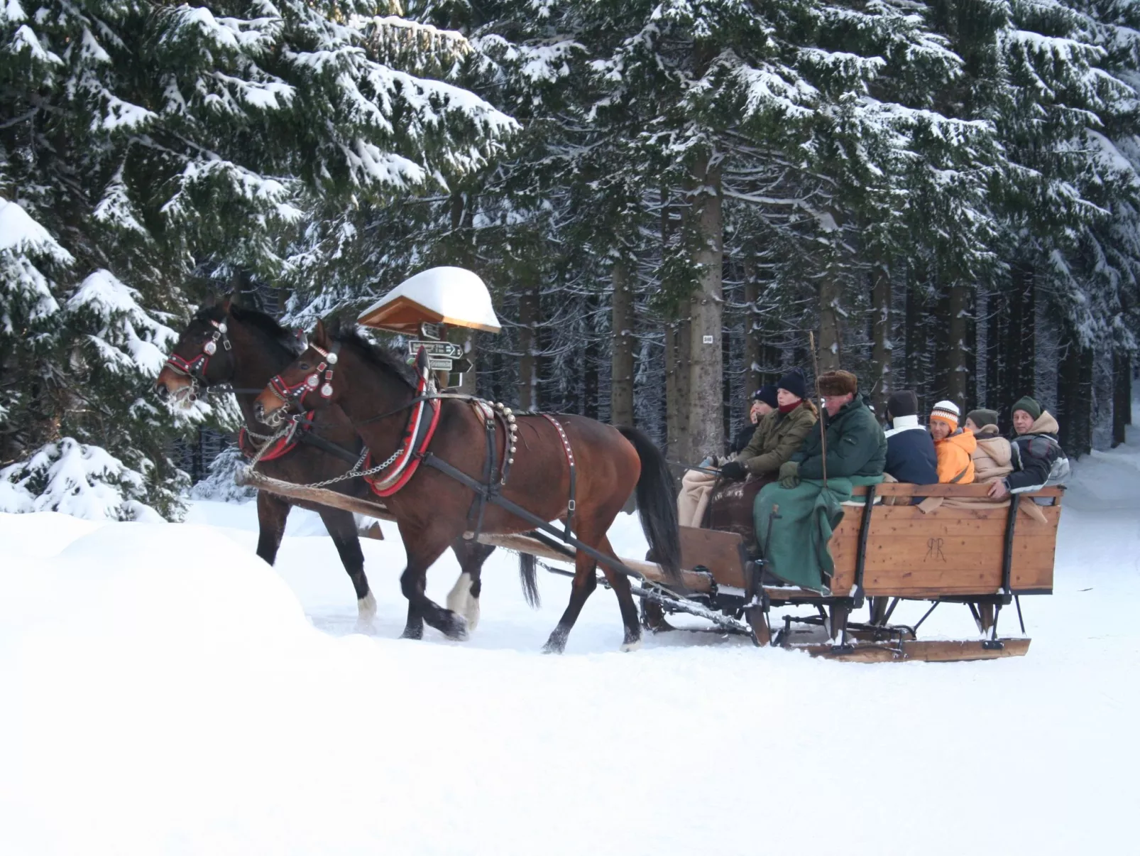 Vogtlandresidenz - Buiten
