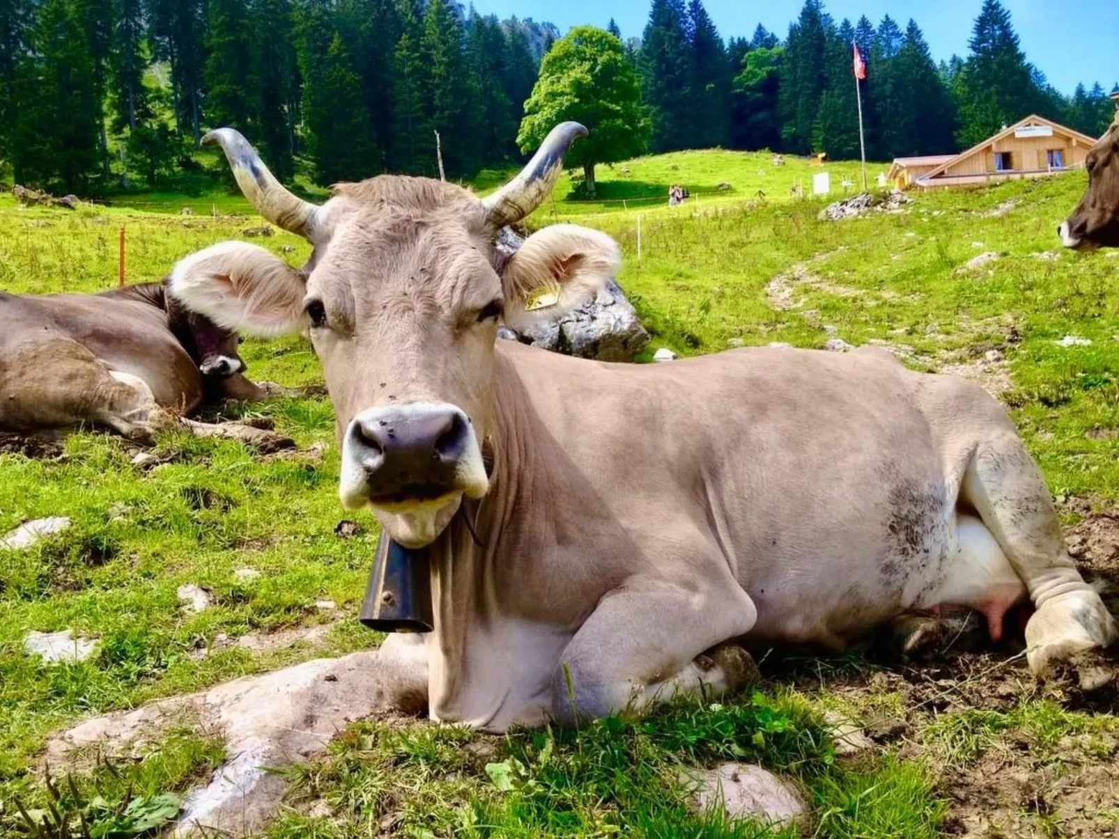 Brunni-Alpthal direkt an den Mythen-Bergen-Buiten