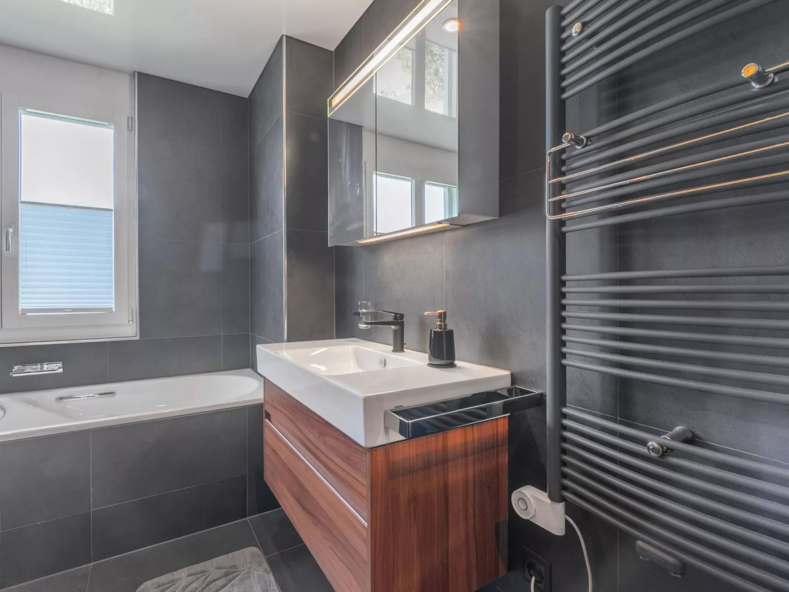 Vierwaldstättersee Panorama-Binnen