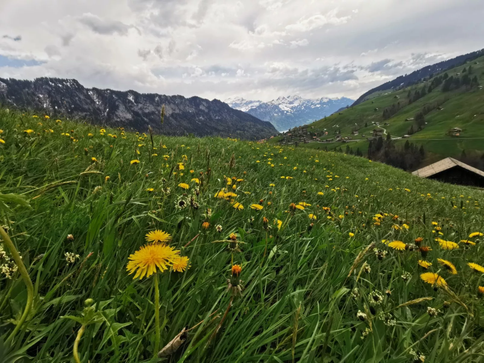 Fewo Wychelboden-Buiten