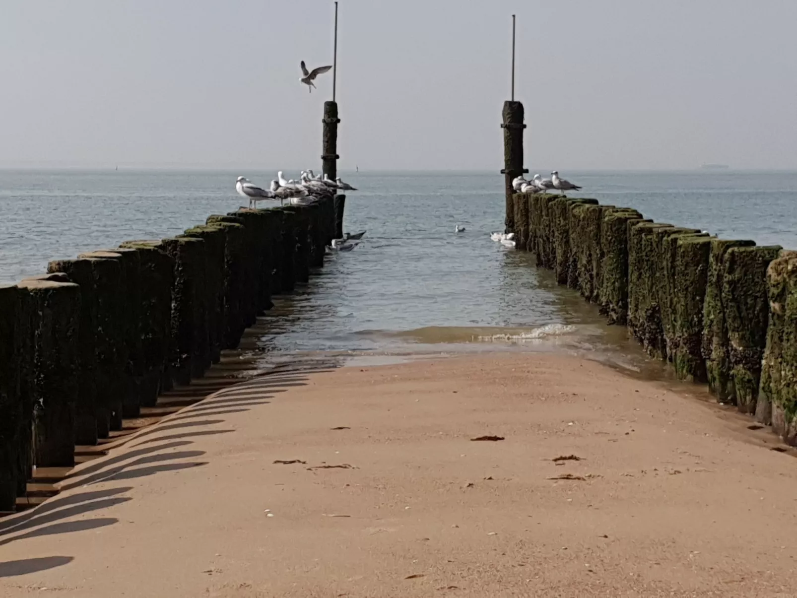 Studio-Wohnung 'Studio Zeezicht'-Image-tags.info