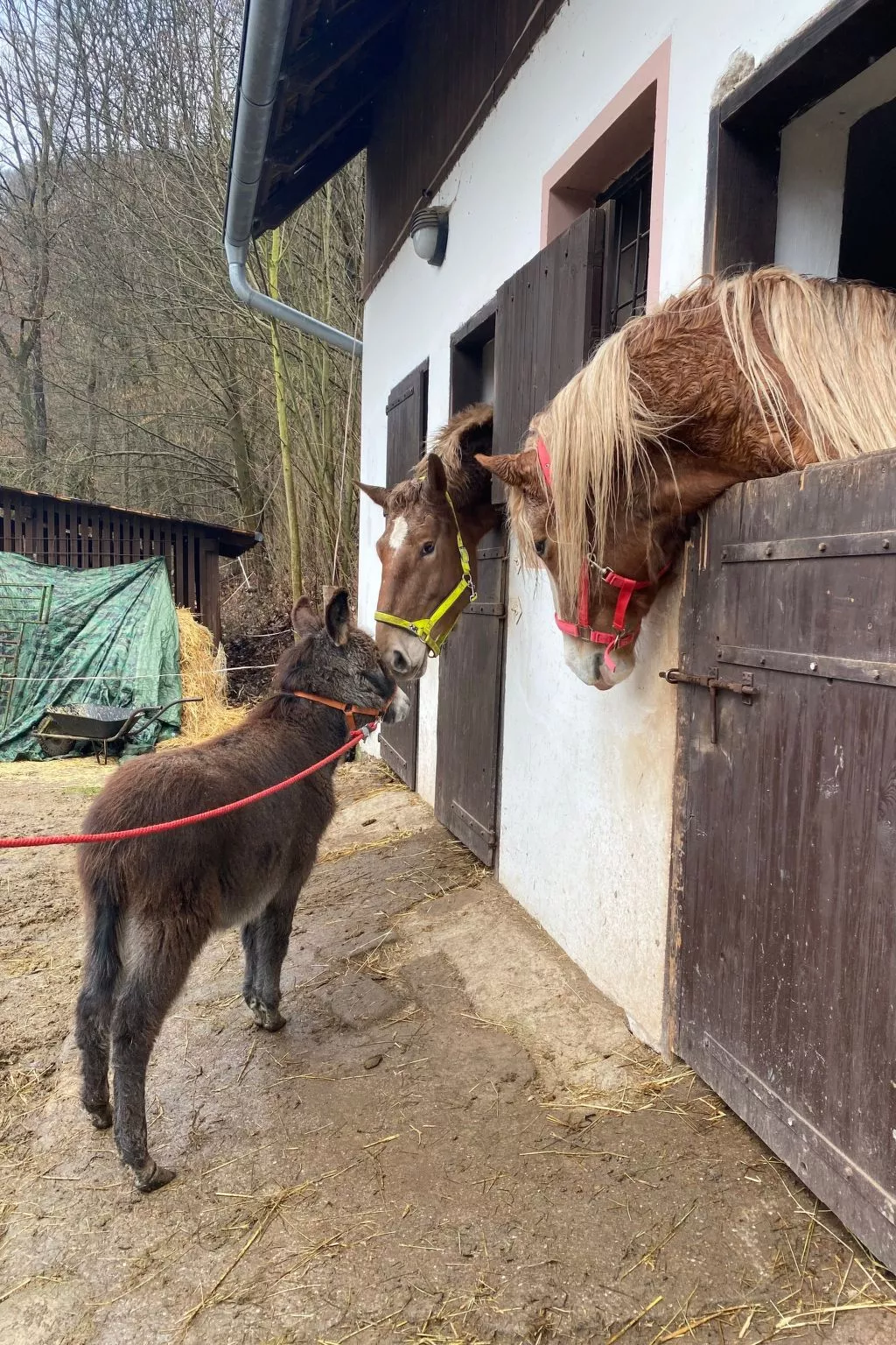 In  Green Valley Park 4 - Image-tags.info