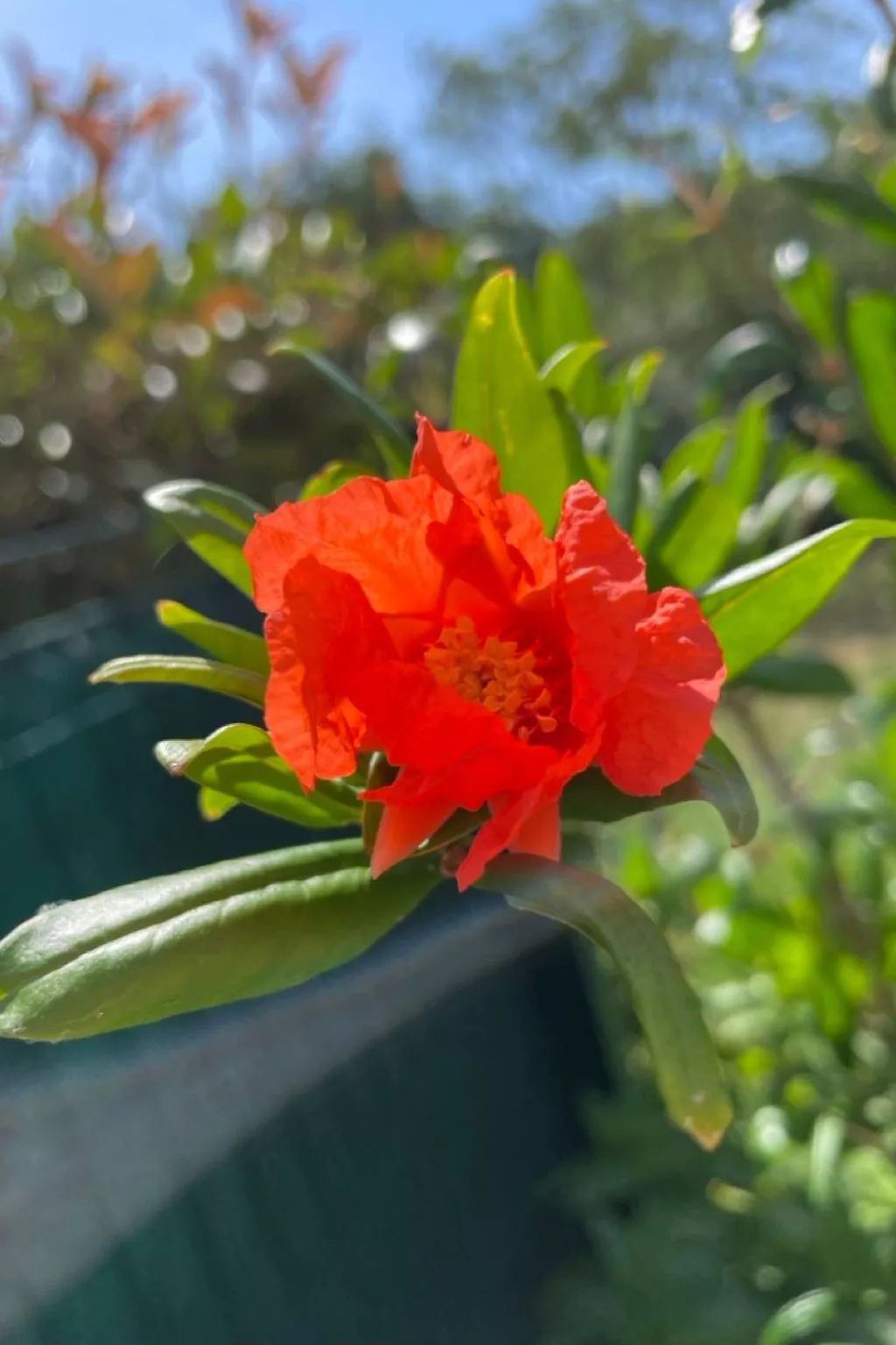 Neues Ferienhaus in Krnica mit Privatem Pool-Buiten