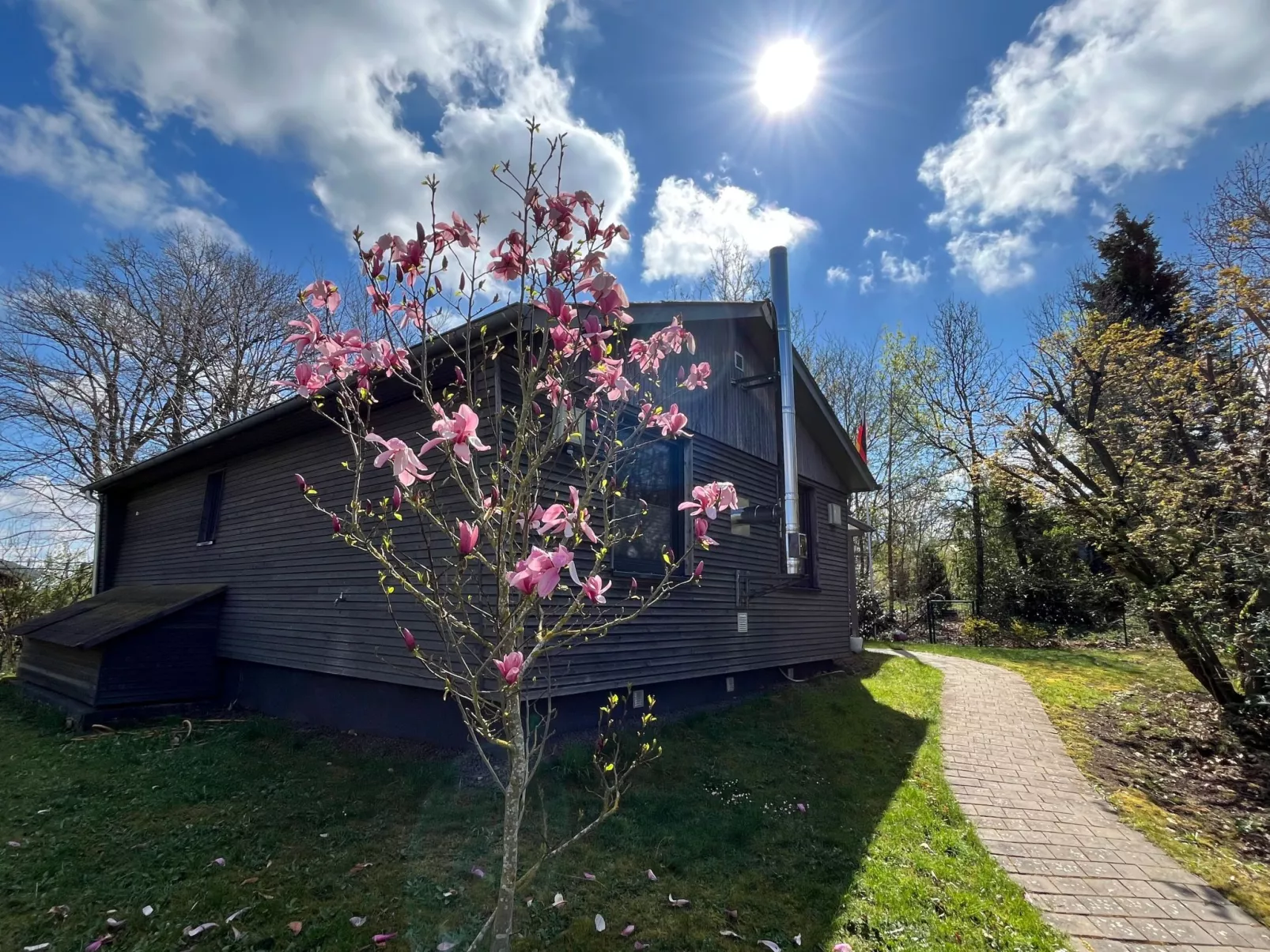 Waldblick in Vöhl-Basdorf-Buiten