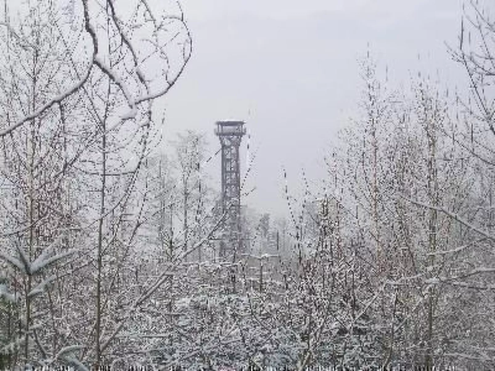 Nur-Dach-Ferienhaus für vier Personen-Binnen