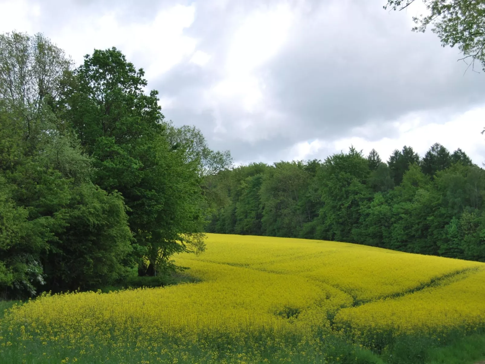 Fewo Stricker 22-Buiten