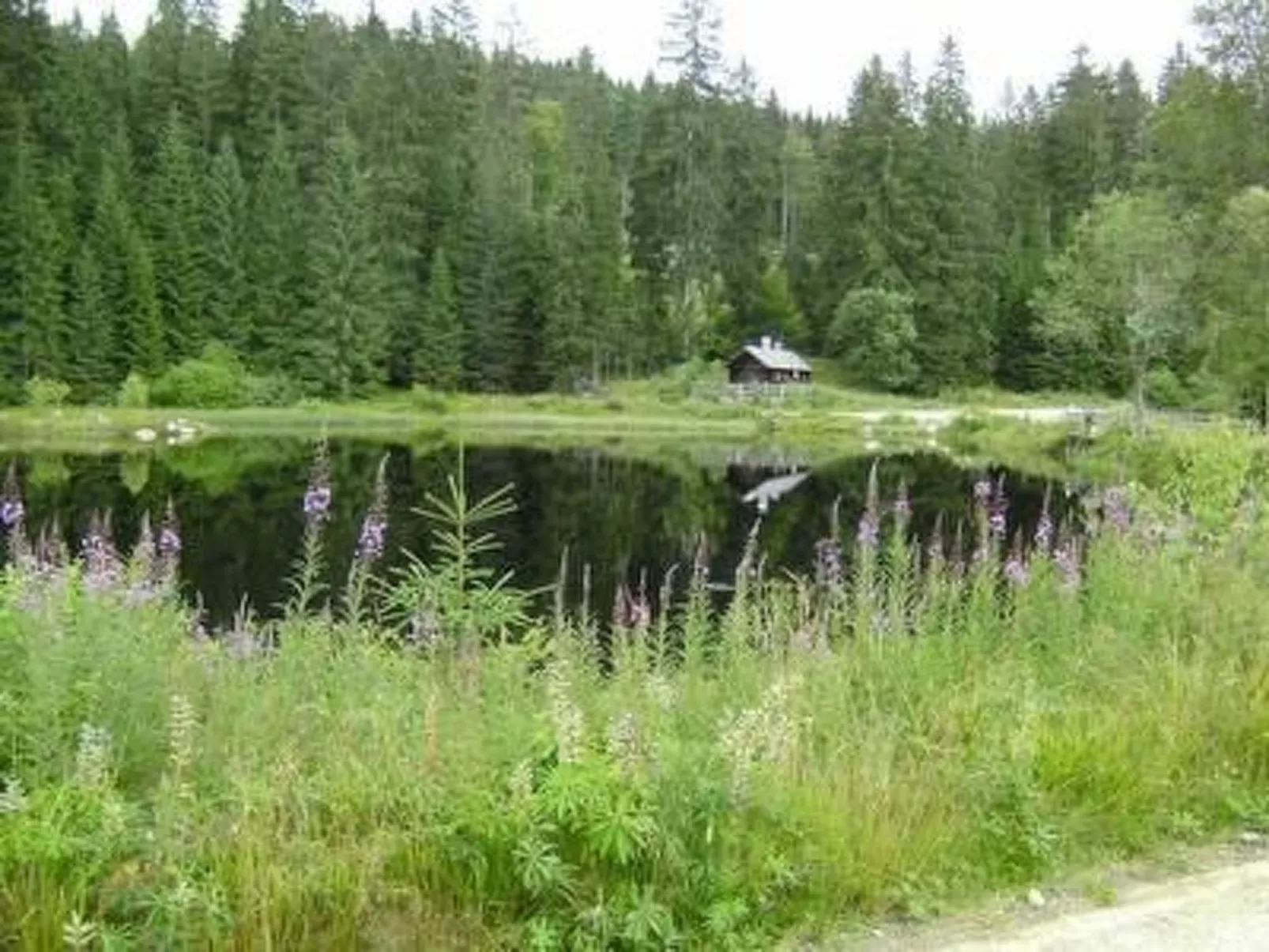 Zur Linde-Image-tags.info