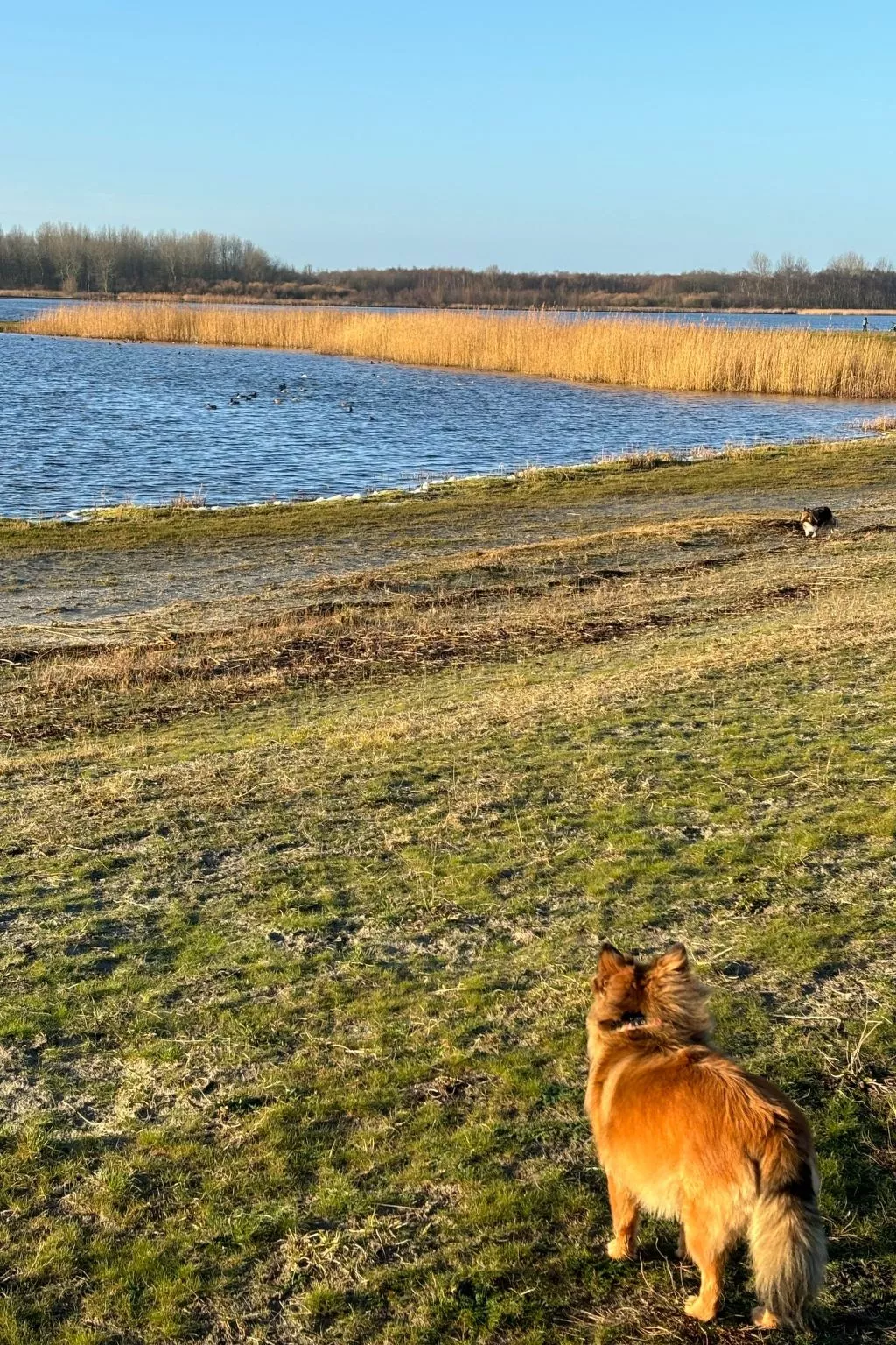 Chalet in Strandnähe-Buiten
