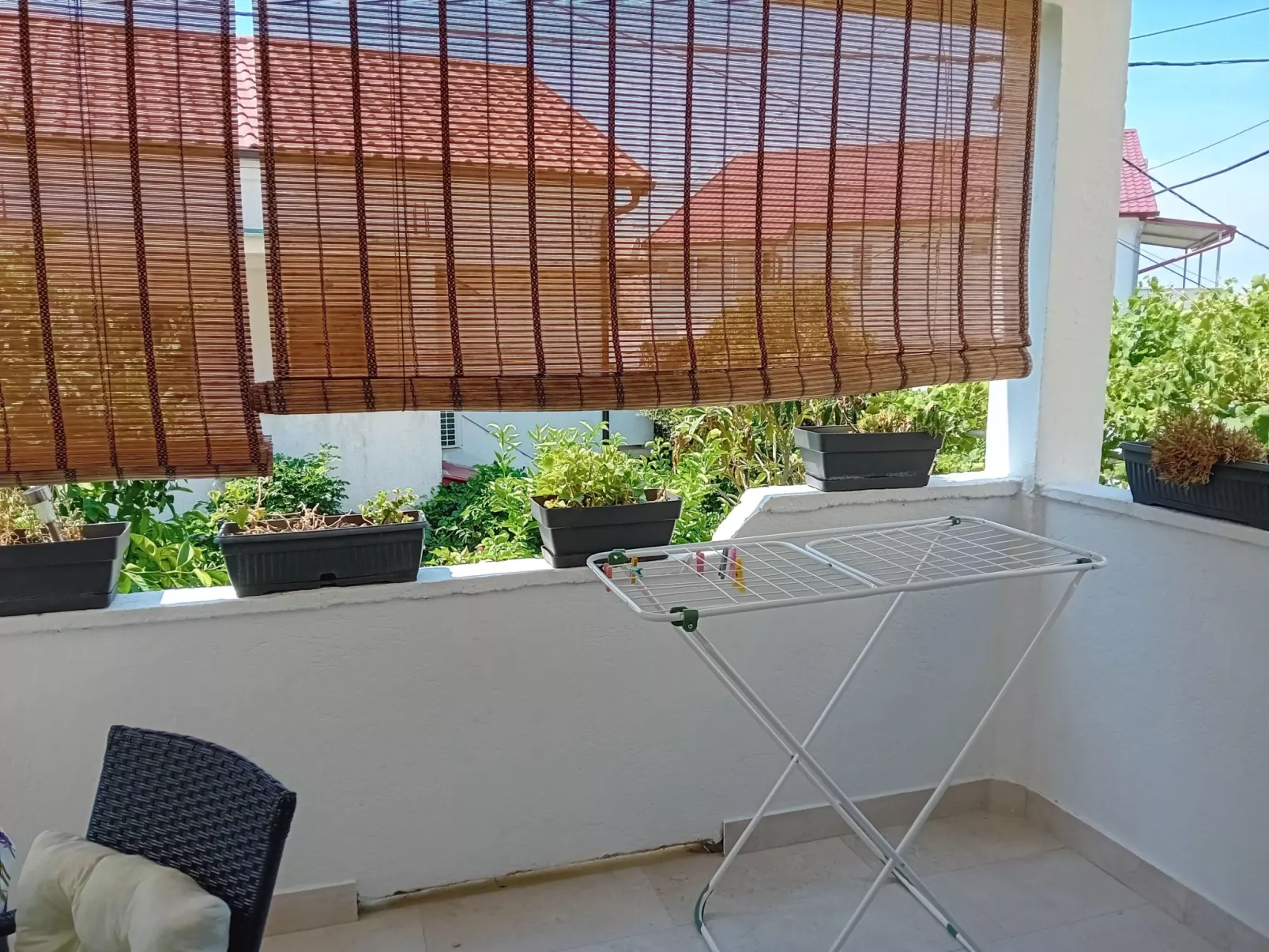 Delfa Pećarina-Binnen