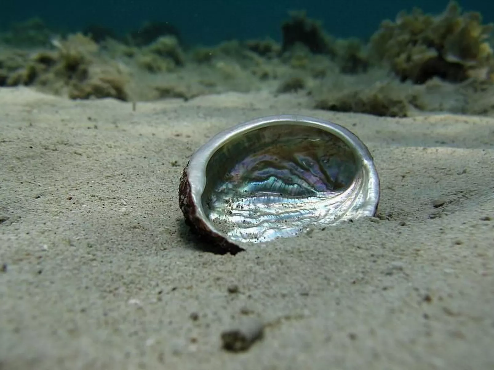 "Ein kleines Paradies"-Image-tags.info