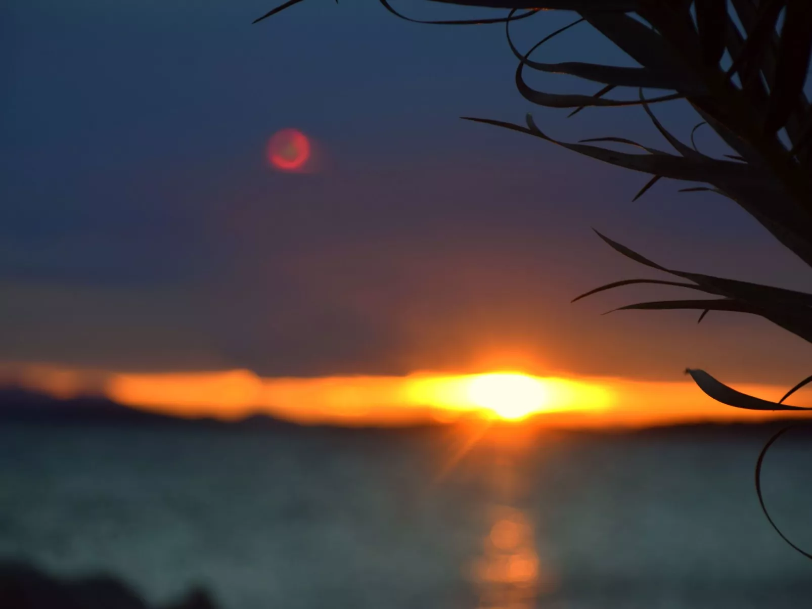 In Dobropoljana mit Privatem Pool-Buiten