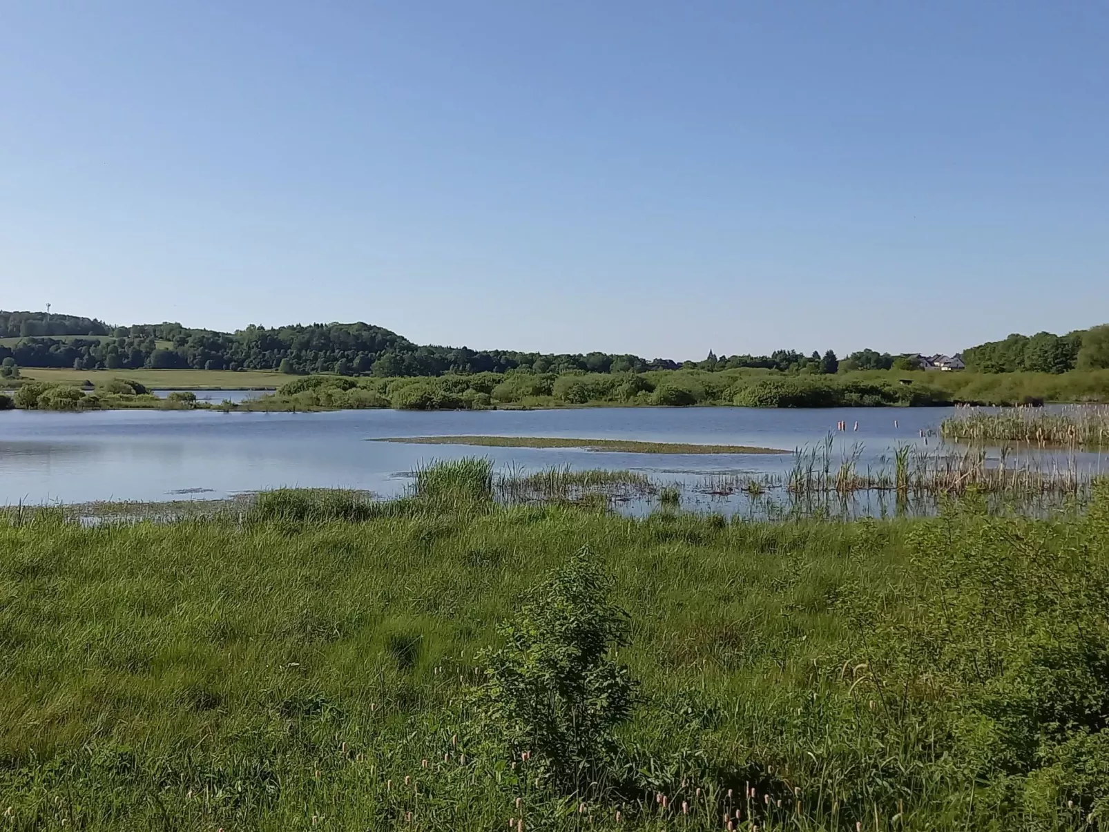 In der Vulkaneifel-Buiten
