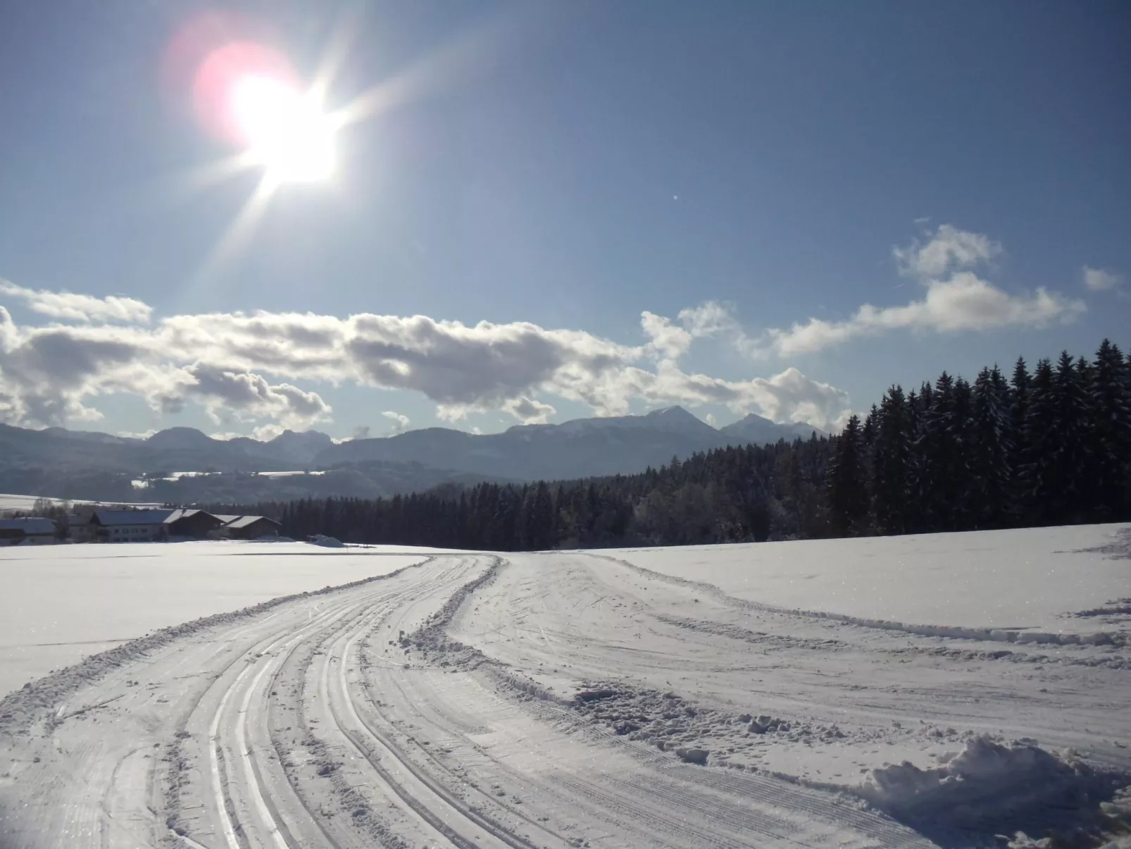 Martina-Image-tags.info