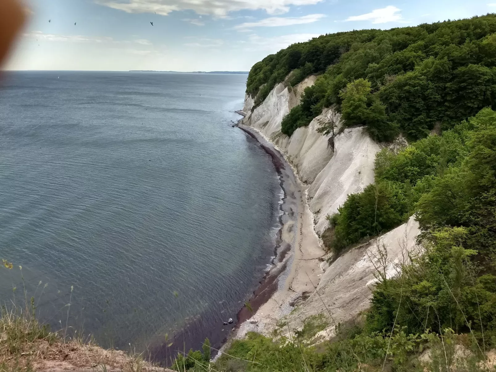 Schmetterling-Buiten