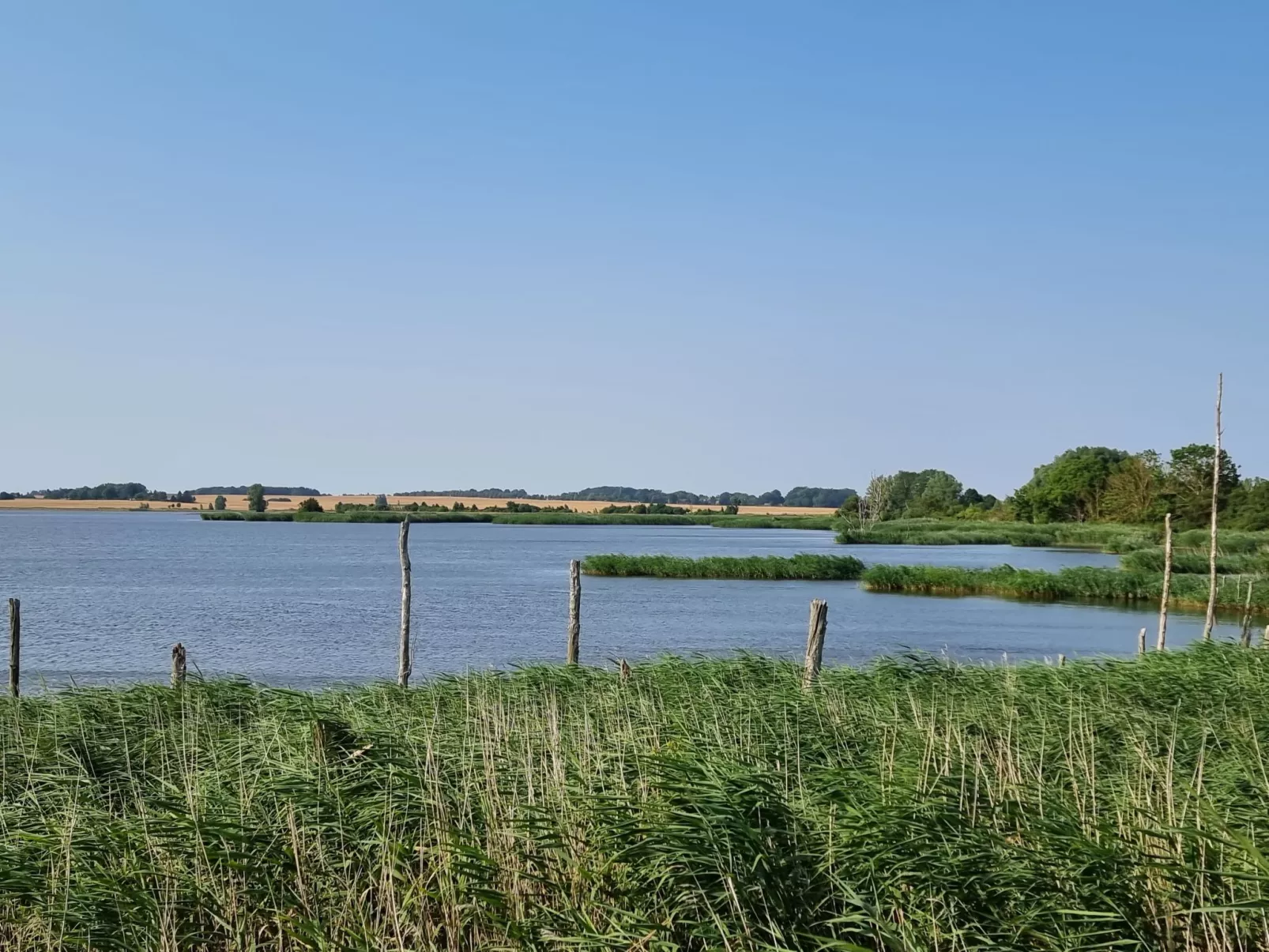 Reethaus Edith-Buiten