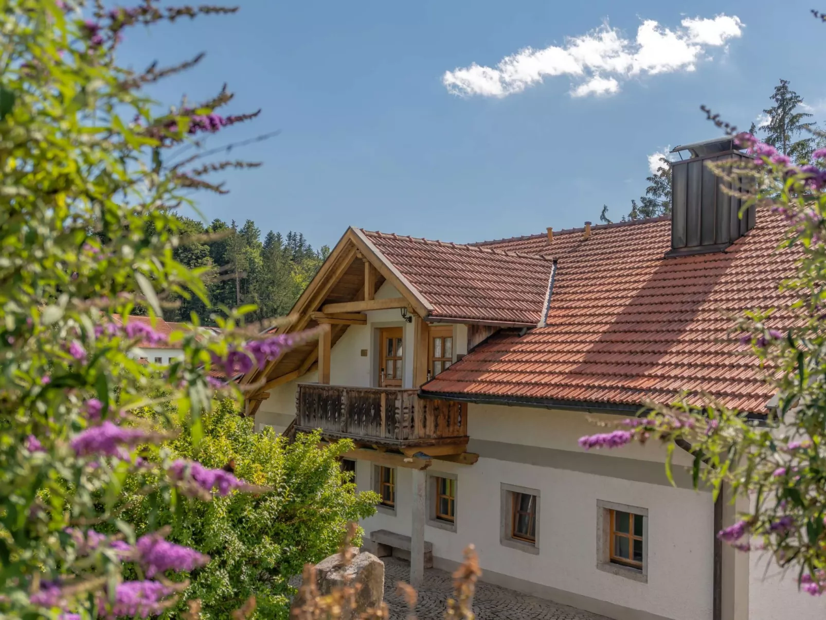 Zwoa-Image-tags.info