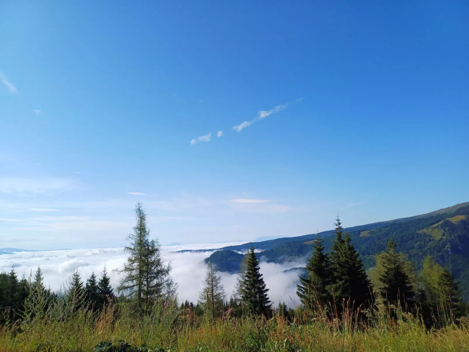 Gemütliche Almhütte direkt im Skigebiet-Buiten