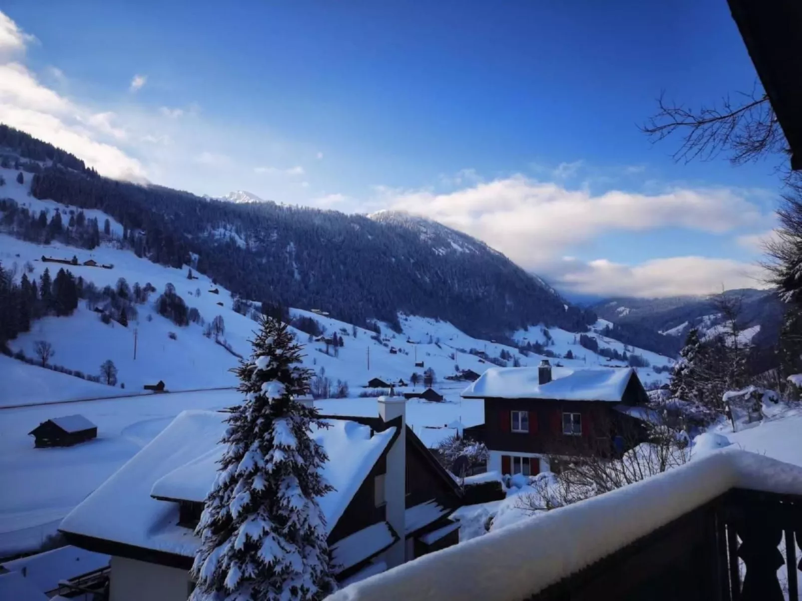 WILOMA Ferienwohnung-Buiten