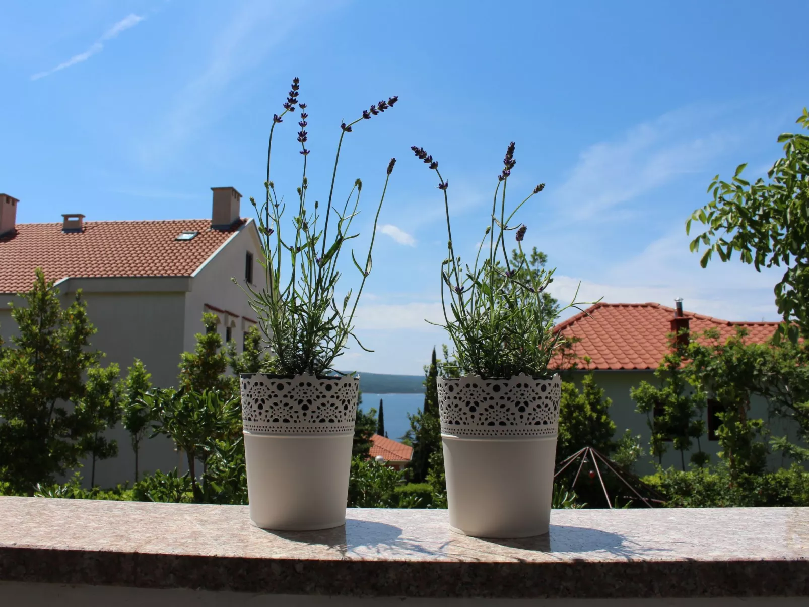 Marija1-Image-tags.info