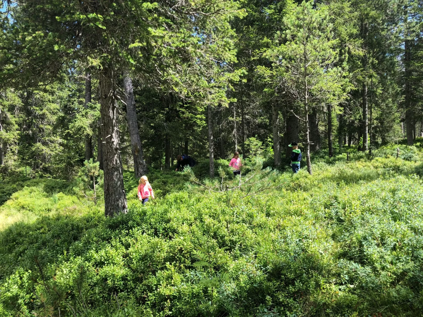 Sunny retreat-Buiten
