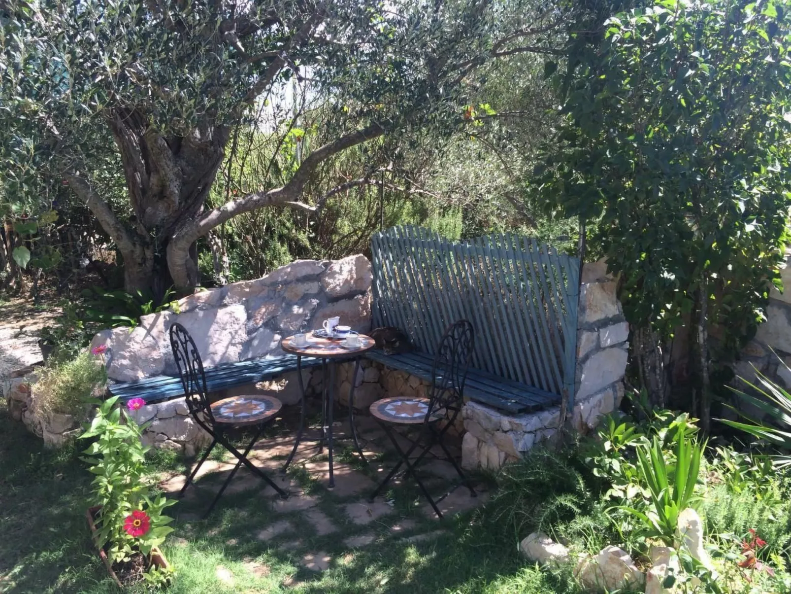 Apartment Rosa-Buiten