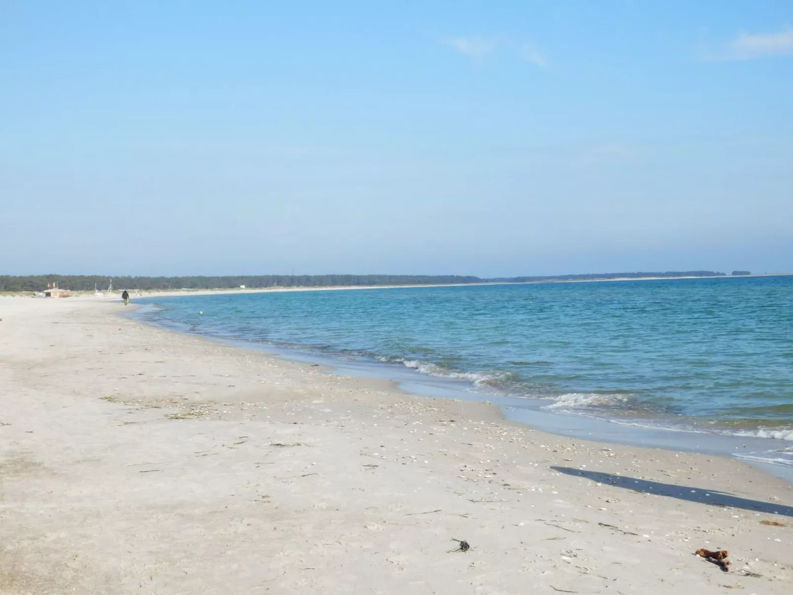 Wohnung Verlies-Image-tags.info