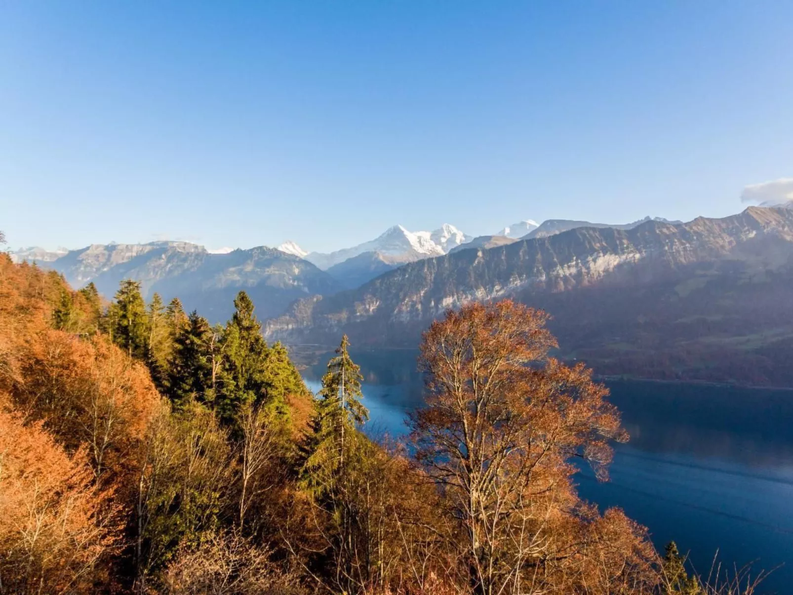 Apartment Alpenrose 2.5 mit Mitbenutzung SPA & Wellness-Buiten