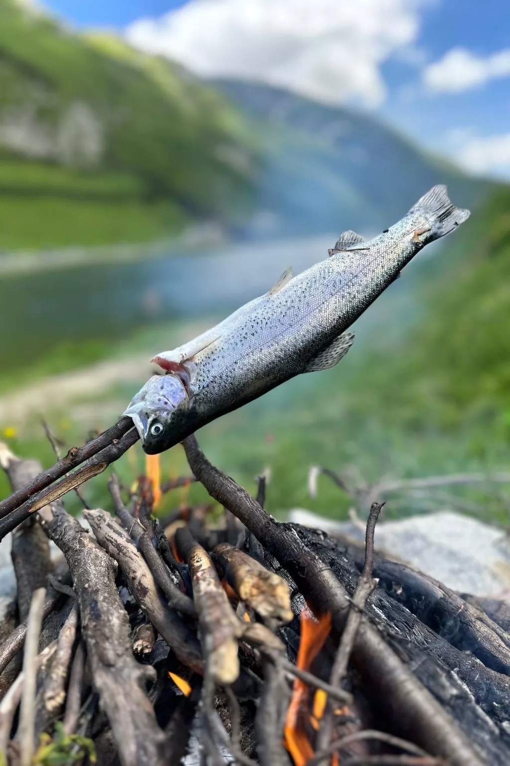 Blue Alpine Lodge-Image-tags.info