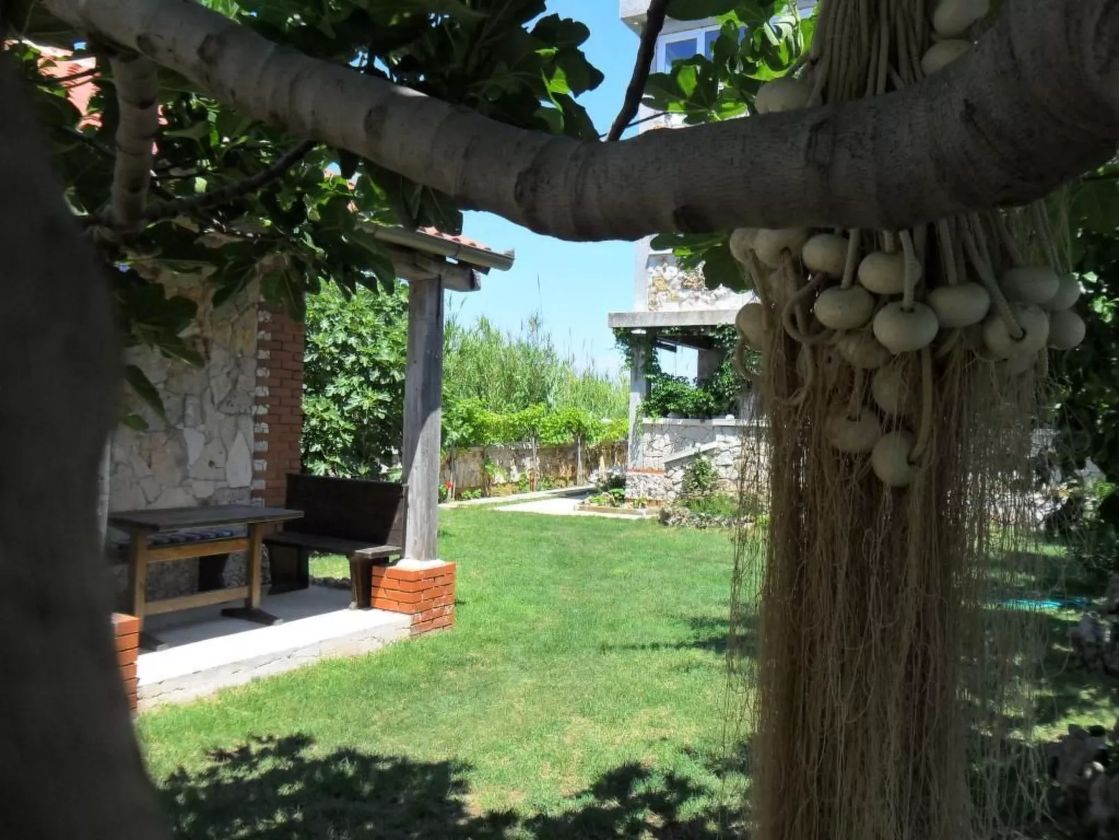 Wohnung Delfin mit Meerblick - TA Leut Agency-Image-tags.info