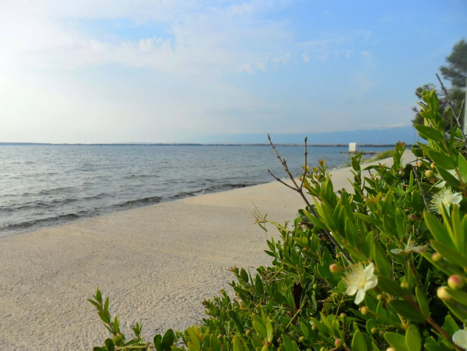 Wohnung Delfin mit Meerblick - TA Leut Agency-Buiten